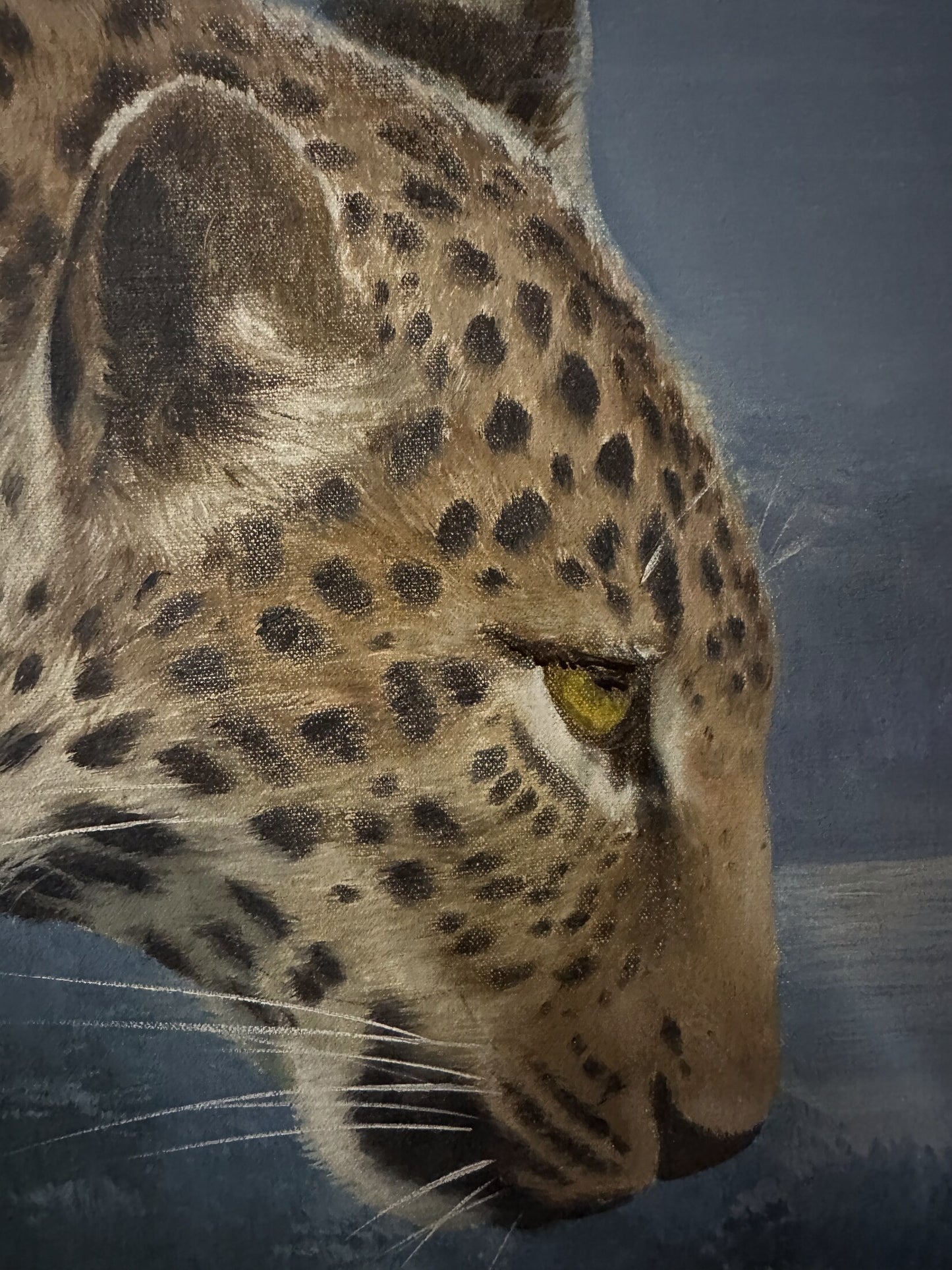 Leopard's Gaze – Original Artwork