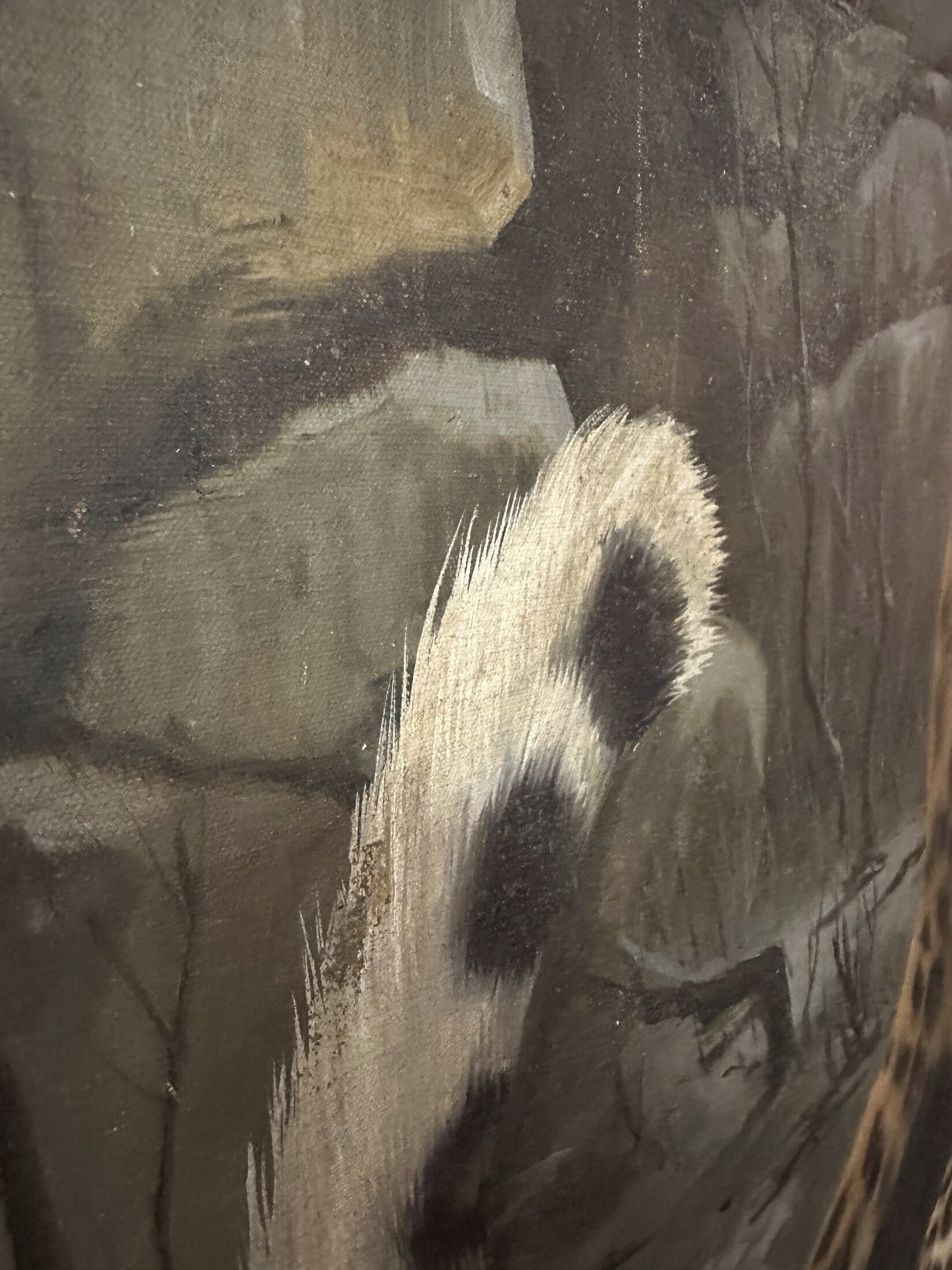 Leopard's Gaze – Original Artwork