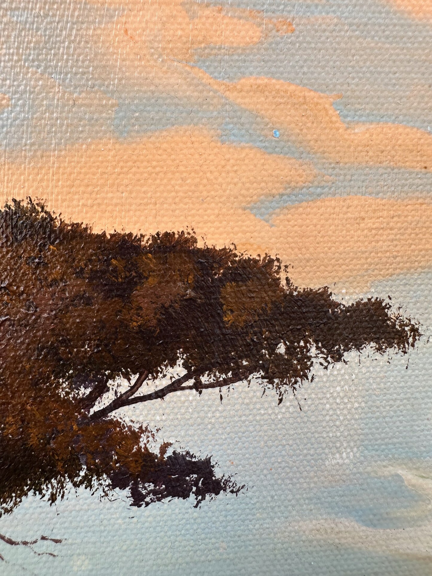 Acacia at Sunset – Original Artwork by Malachi Smith